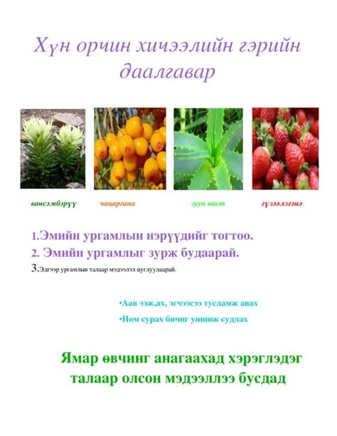 гэрийн даалгавар загдаа | PDF