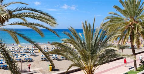 Charter Till Playa De Las Americas Teneriffa Med Mixx Travel Reseguiden