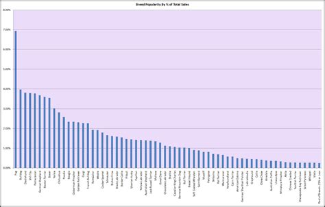 Most Popular Dog Breeds - DogLoverStore