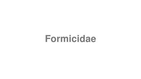 How to Pronounce "Formicidae" - YouTube