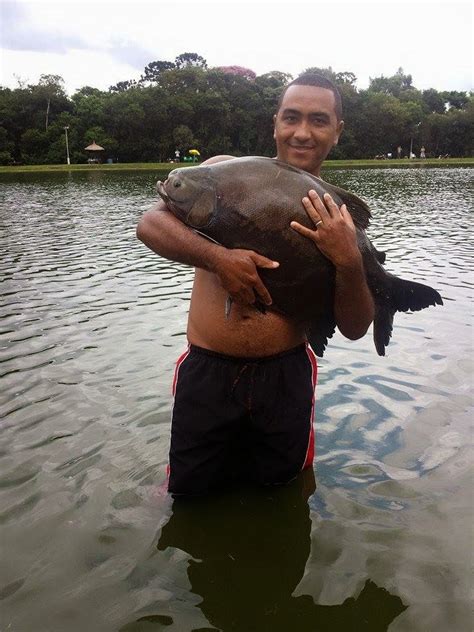 Vem Que Tamba Pesca No Pesqueiro Itaquari