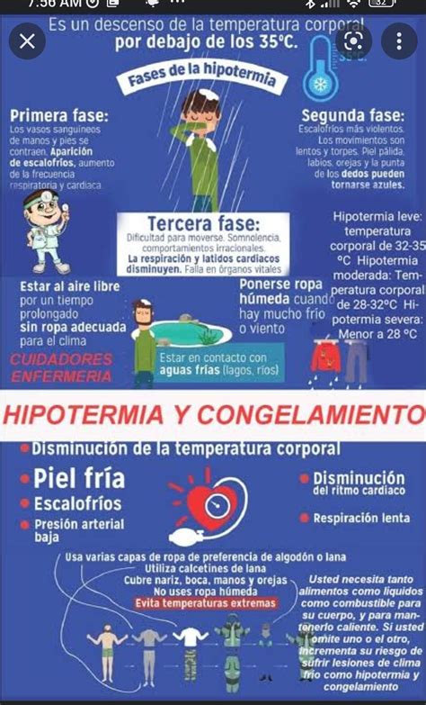 infografía donde se explique la hipotermia Brainly lat