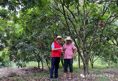 整合“涉农资源”！这家农商行以“多社融合”形成强劲支农力量