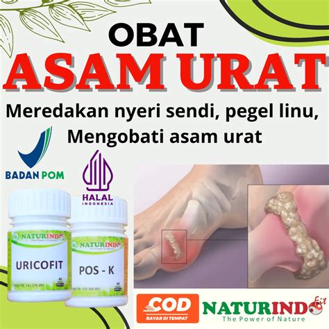 Jual Obat Asam Urat Gout Arthritis Paling Ampuh Super Flu Tulang Uric