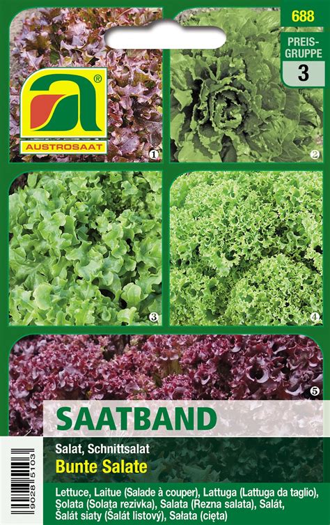 Austrosaat Saatband Schnittsalat Bunte Salate Lactuca Sativa L