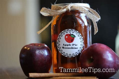 Crock Pot Apple Pie Moonshine Recipe Tammilee Tips