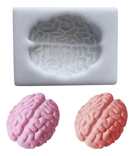 Molde De Cerebro Moldes De Resina Cerebro Moldes De C Envío Gratis