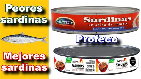 Cu Les Son Las Peores Y Mejores Sardinas Seg N Profeco Estudio De