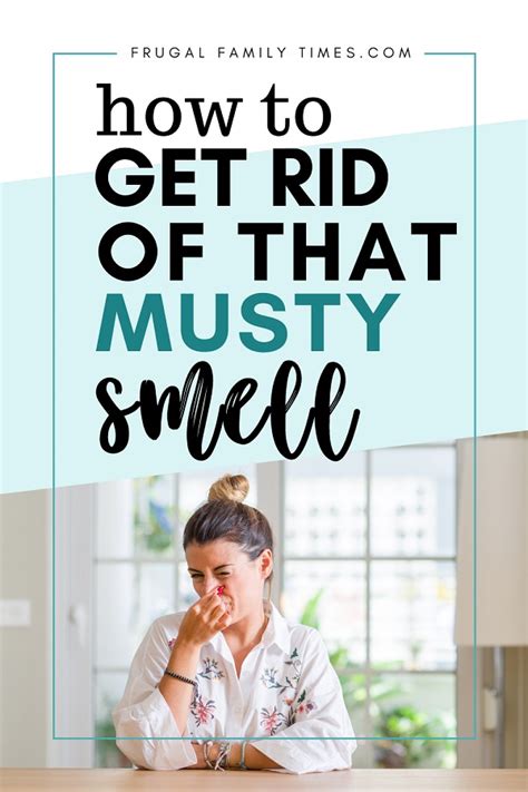 How To Get Rid Of Musty Smells In Cabins Basements And More