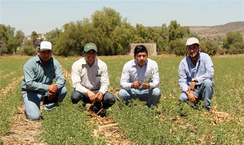 El Cimmyt Promueve Acciones Para Regenerar Los Suelos Y Asegurar Su