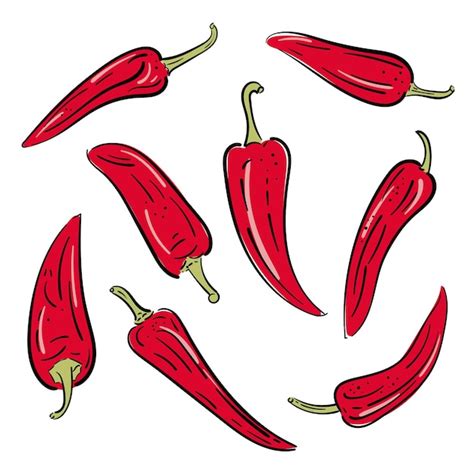 Premium Vector Whole Red Hot Pepper Chilli Vintage Hatching Vector Color Illustration Hand