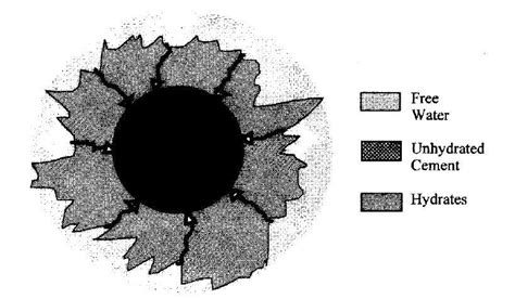 20 Schematic Representation Of Free Water Microdiffusion Through