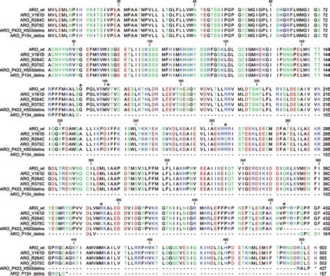 Multiple Sequence Alignment Of CYP19A1 Amino Acid Sequences From