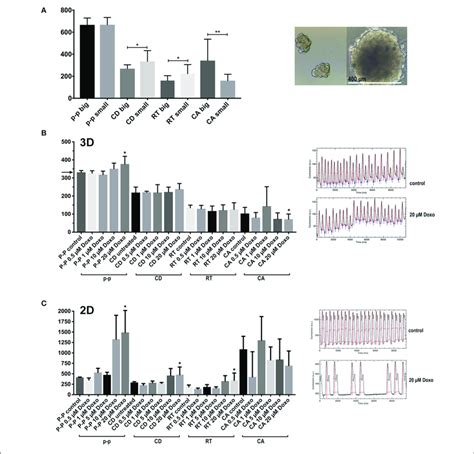 Contraction Features In Small And Large Multicellular Aggregates And