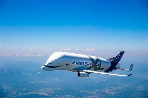 The Incredible Airbus Beluga XL Will Put a Smile on Your Face