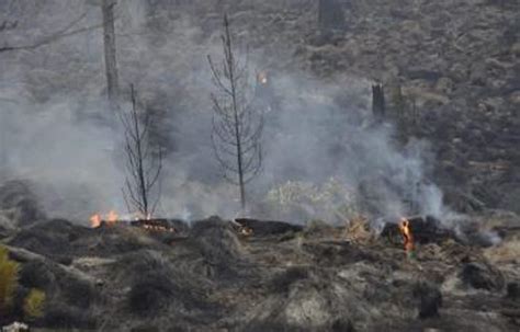 Sofocan Incendio Forestal En El Parque Nacional Valle Nuevo Las