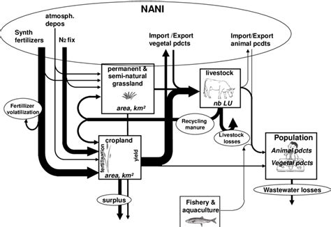 1 Principles Of The Grafs Representation As Illustrated By N Fluxes