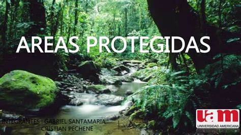 Areas Protegidas De Panama Ppt