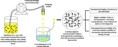 水凝胶共封装在体外消化和储存过程中为干酪乳杆菌和富含生育三烯酚的亚麻籽油提供协同保护 ACS Food Science