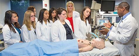 Program Overview Of The Anesthesiologist Assistant Program Tampa