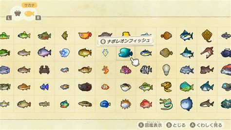 【あつ森】南半球の島で魚図鑑コンプリートしたんだなも ゲームその他ブロ