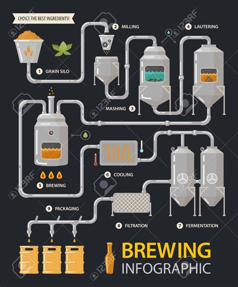 Brewing Infographic Of Beer Production Process With Tanks And Royalty