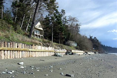 Shoreline Ecosystem Shore Friendly