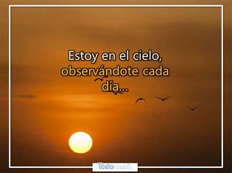 palabras de duelo frases sabias frases filosoficas espiritualidad