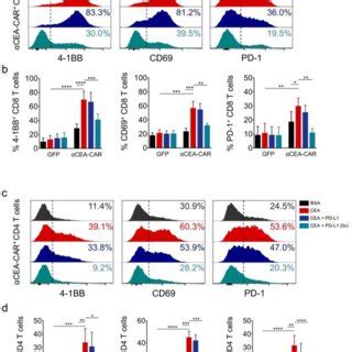 Nkg D Bbz Car T Cells Lyse Glioblastoma Cells Efficiently In Vitro A