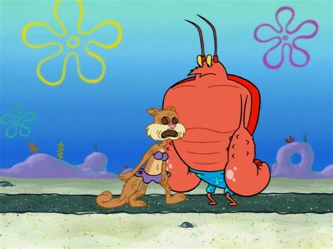Image Coralpng Encyclopedia Spongebobia The Spongebob