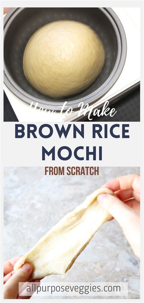 How to Make Brown Rice Mochi from Scratch (w/ Mochi Maker) - All ...