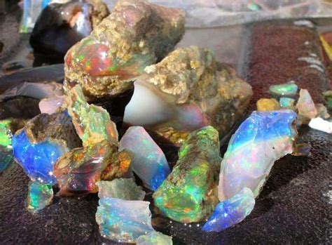 Opals From Nevada Unique Opal Gem Hunt Gem Mining