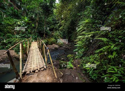Hot Springs Thermal Bath In The Tropical Jungle Ritual Sulphurous Pool For Swimming Banjar