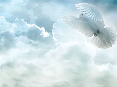 Holy Spirit Dove Pictures Images And Photos Desktop Background