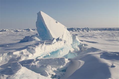 Ecology The Russian Arctic