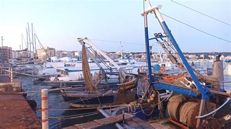 Anzio Anniversario Dello Sbarco Un Viaggio Virtuale Nella Storia