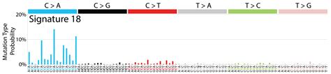 Cosmic Signatures Of Mutational Processes In Human Cancer