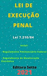 Lei De Execu O Penal Lei Atualizada Ebook Resumo