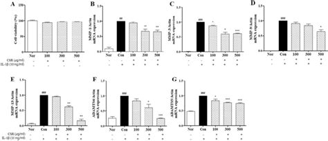 The Effects Of Csr On Mmps Adamts Mrna Expressions In Il Stimulated