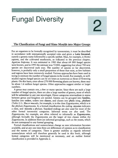 Fungal Diversity Pdf Fungus Biology