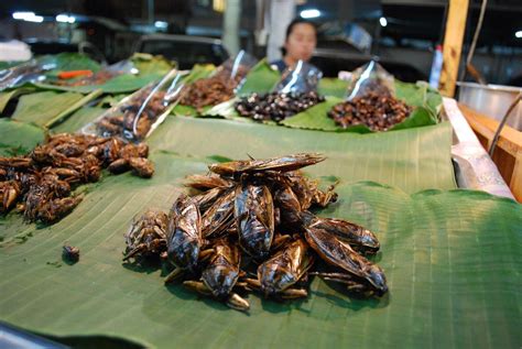 Where To Eat Insects in Thailand