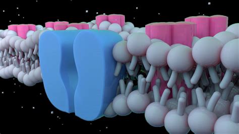 Cystic Fibrosis Cells YouTube