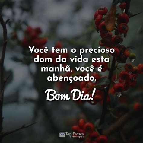 Você tem o precioso dom da vida esta manhã você é abençoado Bom Dia