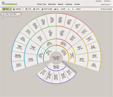 The Different Views in FamilySearch Family Tree