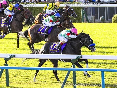 競馬ブックネットshop カラーパネル2023年10月22日京都11r 菊花賞内馬場ドゥレッツァ