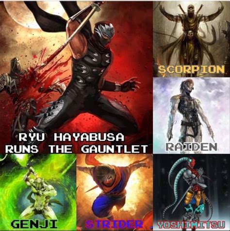 Ryu Hayabusa Gay