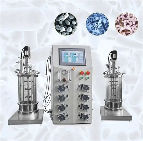 Ruiyuan Lab Scale Bioreactor Laboratory Small Glass Bioreactor