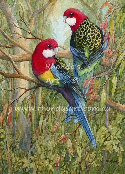 Eastern Rosella Pair — Rhondas Art