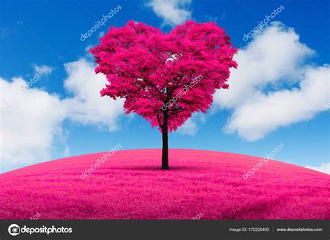 Heart Shaped Tree Wallpaper