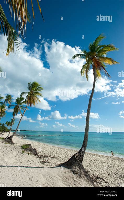 Bayahibe Beach Dominican Republic Stock Photos & Bayahibe Beach ...